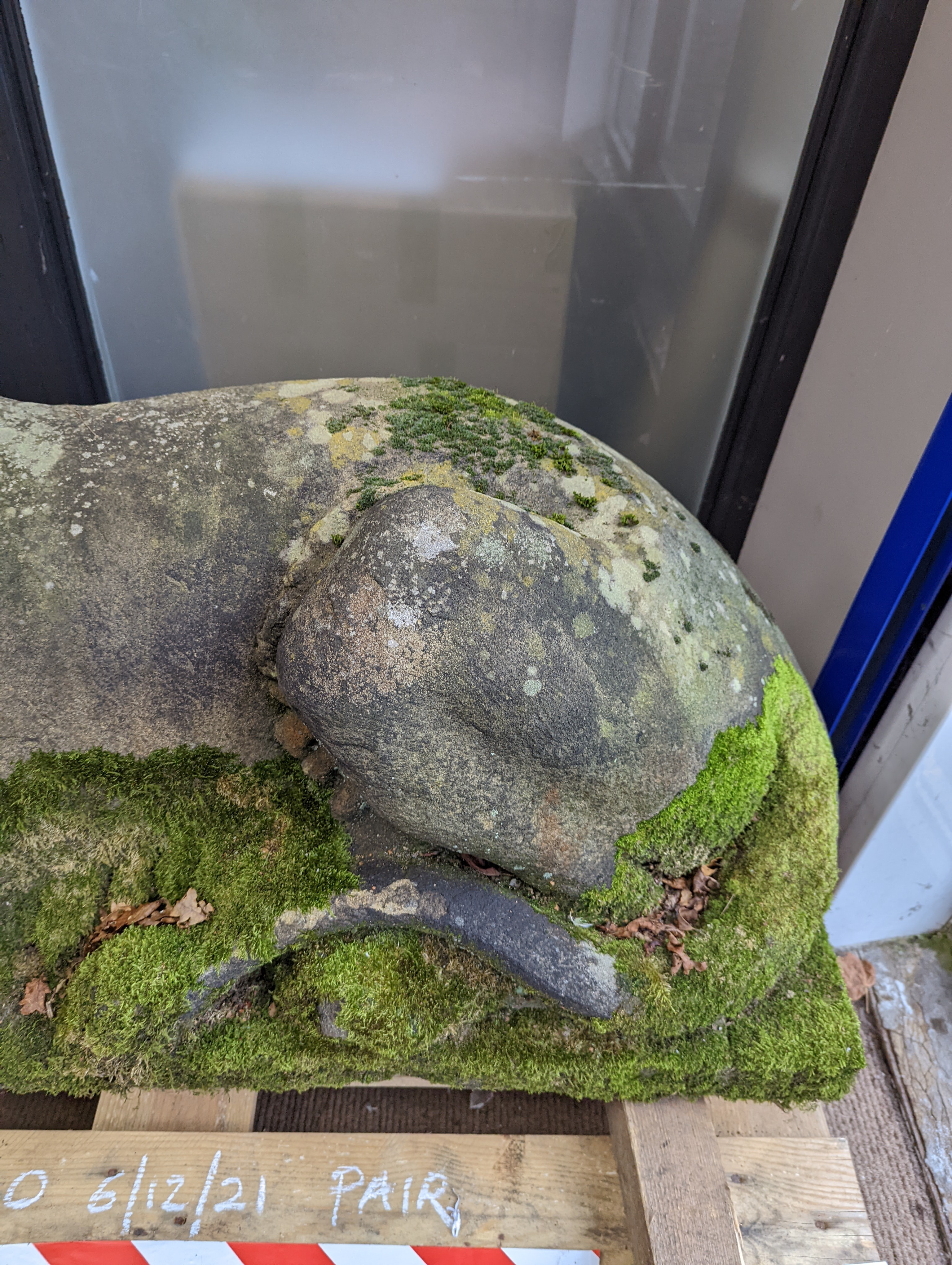 A pair of carved stone models of a recumbent lion and lioness, purchased from Crowther of Syon Lodge approximately 40 years ago. Length 122cm. Width 50cm. Height 60cm.